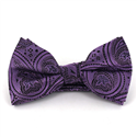 Nœud Papillon Paisley Violet et Noir
