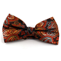 Nœud Papillon Paisley XL Orange