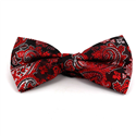 Nœud Papillon Paisley XL Rouge