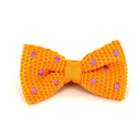 Nœud Papillon à pois jaune et violet
