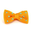 Nœud Papillon à pois jaune et turquoise