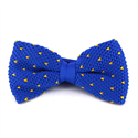 Nœud Papillon à pois bleu avec des taches jaunes