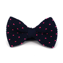 Nœud Papillon en point bleu avec pois roses