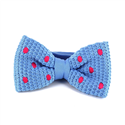 Nœud Papillon à pois bleu ciel et magenta