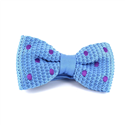 Nœud Papillon à pois bleu ciel et pois violets