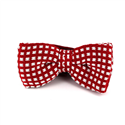 Nœud Papillon à pois rouges et blancs