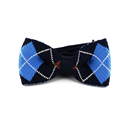 Nœud Papillon à carreaux bleus