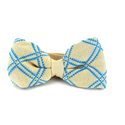 Nœud Papillon à carreaux beige