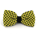 Nœud Papillon à pois fleur de lys jaune et noir