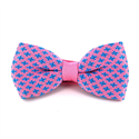 Nœud Papillon à pois Fleur de Lis rose et bleu