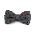 Nœud Papillon en point gris à pois rouges