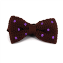 Nœud Papillon à pois marron et violet