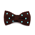 Nœud Papillon à pois marron et turquoise