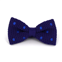 Nœud Papillon à pois violet avec des pois bleus