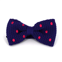 Nœud Papillon à pois violet à pois magenta