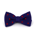 Nœud Papillon en point violet à pois rouges