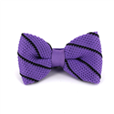 Nœud Papillon à pois violet à rayures noires