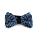 Nœud Papillon à pois noir et bleu