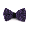 Nœud Papillon à pois noir et violet