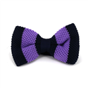 Nœud Papillon à rayures bleues et violettes