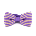 Nœud Papillon à rayures violettes et beige