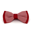 Nœud Papillon à pois rouges et blancs