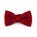 Nœud Papillon à pois rouges sur fond bleu