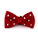Nœud Papillon à pois rouges sur fond blanc
