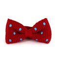 Nœud Papillon à pois rouge et bleu ciel