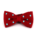 Nœud Papillon à pois rouge et turquoise