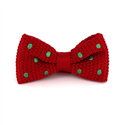 Nœud Papillon à pois rouges et verts