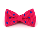 Nœud Papillon à pois roses et bleus