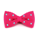 Nœud Papillon à pois rose et turquoise