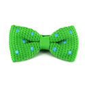 Nœud Papillon à pois vert pointillé céleste