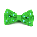 Nœud Papillon à pois vert turquoise