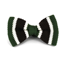 Nœud Papillon à pois vert rayures marron