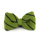 Nœud Papillon à pois vert et rayures noires