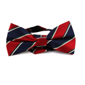 Nœud Papillon à rayures bleu marine et rouge