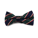 Nœud Papillon à rayures bleu marine et vert