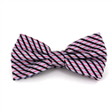 Nœud Papillon à rayures brillantes fuchsia et lilas
