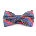 Nœud Papillon à rayures gris, rouge et bleu
