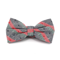 Nœud Papillon à rayures gris, rouge et vert