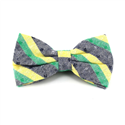 Nœud Papillon à rayures gris, vert et jaune