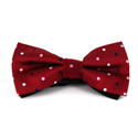Nœud Papillon rouge à pois multicolores