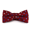 Nœud Papillon rouge à pois multicolores
