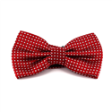 Nœud Papillon rouge à pois blancs
