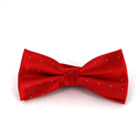 Nœud Papillon rouge à pois brillants