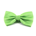 Nœud Papillon Vert à Pois Blancs