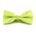 Nœud Papillon Vert à Pois Brillants