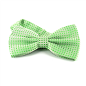 Nœud Papillon Vert à Pois Verts